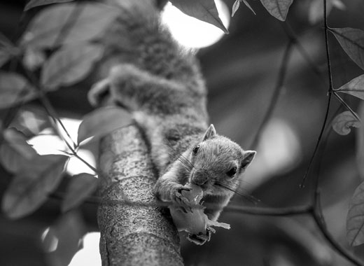 ddos在线攻击平台